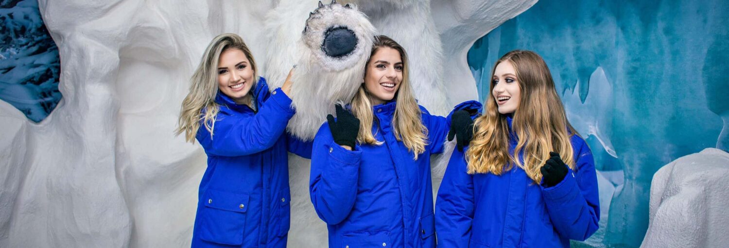 Três mulheres com casacos azuis de inverno estão ao lado de uma exposição de animais árticos, sorrindo e posando para a câmera. - Ingresso do Dreams Ice Bar