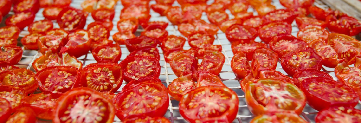 Fileiras de tomates-cereja cortados ao meio estão dispostas em uma prateleira de metal para secagem, com sementes e detalhes internos visíveis. A imagem ilustra o post sobre ingresso do Museu do Tomate com audioguia.