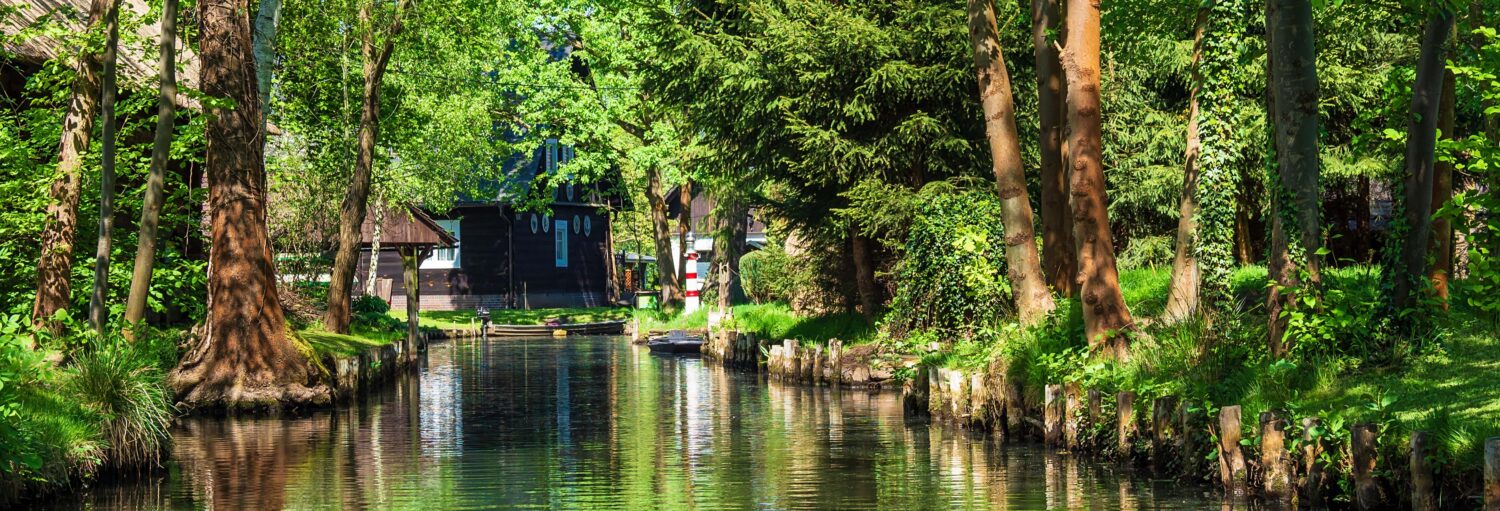 Um canal calmo corre entre árvores verdes e casas de madeira sob a luz do sol, com barcos visíveis ao fundo. Imagem para ilustrar post sobre excursão à floresta do Spree.