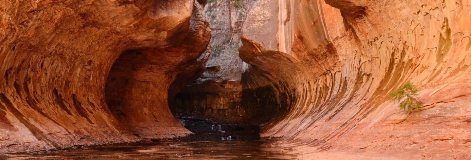 Um cânion estreito e sinuoso com paredes curvas e lisas de cor laranja e um riacho raso que flui ao longo do fundo do cânion. Imagem para ilustrar post sobre excursão ao cânion de Zion + Vale do Fogo.