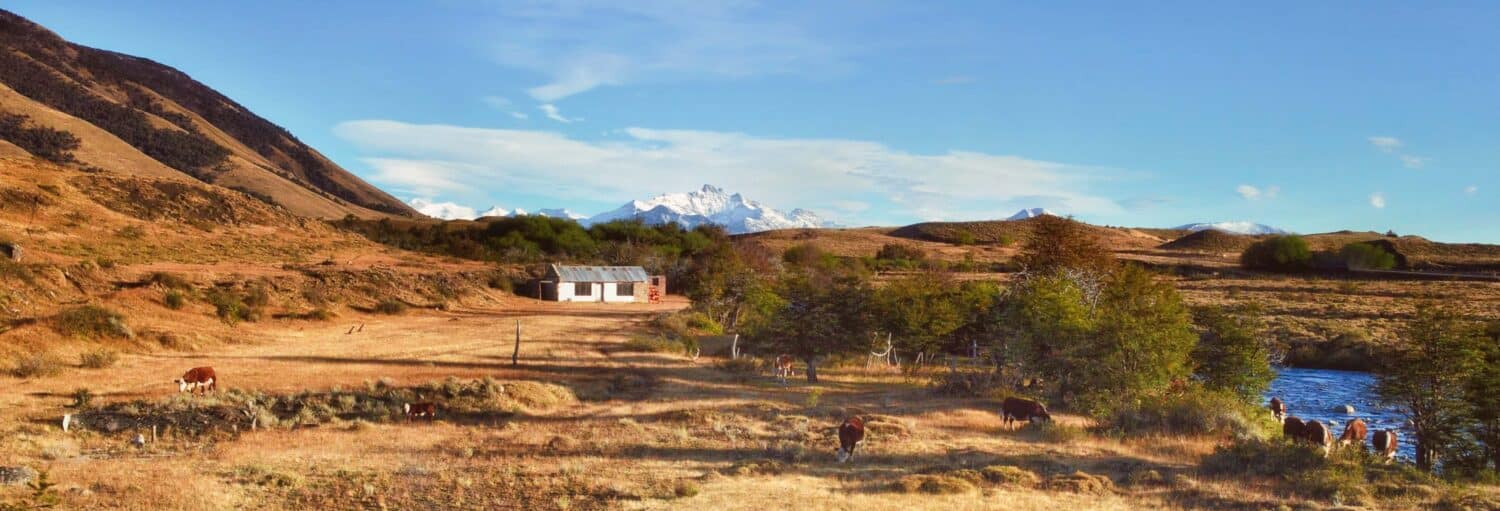 Uma casa branca com telhado de metal fica em um campo rural, com vacas pastando, árvores, um rio e montanhas cobertas de neve ao fundo. Imagem para ilustrar o post sobre a excursão à Estancia El Galpón.