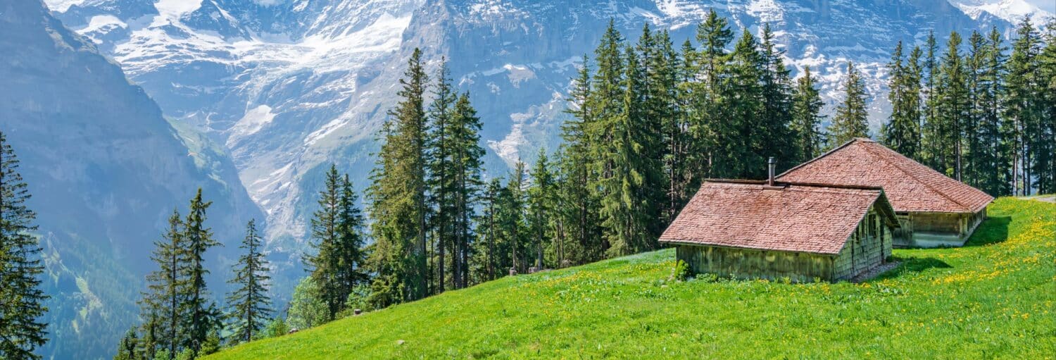 Duas cabanas de madeira ficam em uma encosta verde com pinheiros e montanhas cobertas de neve ao fundo. Imagem para ilustrar post sobre a excursão a Grindelwald e ao Monte First.