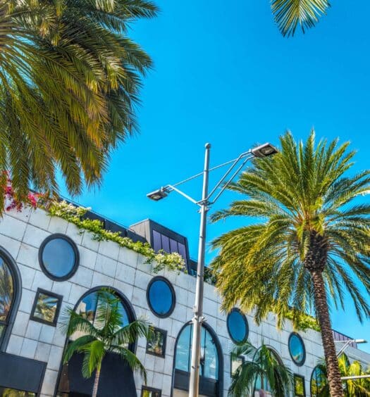 Edifício moderno com janelas circulares e palmeiras ao longo da rua sob um céu azul claro. Imagem para ilustrar post sobre excursão a Los Angeles.
