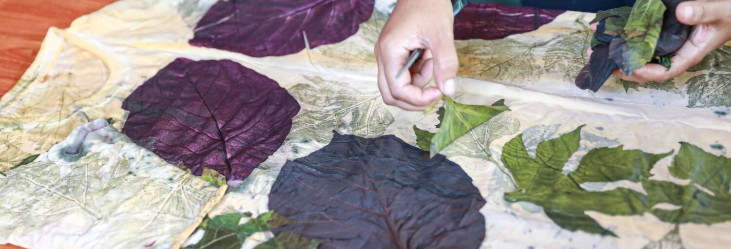 Mãos arrumando folhas roxas e verdes em um tecido leve, preparando-se para um projeto de arte botânica ou têxtil. A imagem ilustra o post sobre Excursão a Salto de Pirapora.