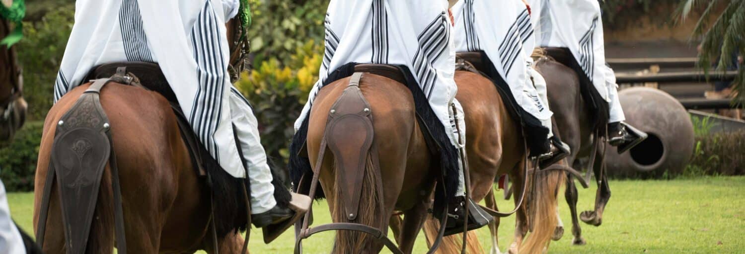 Quatro pessoas vestidas com camisas brancas e calças de montaria estão montadas em cavalos marrons em um ambiente externo gramado, vistas por trás no Tour por Pachacamac + Espetáculo de cavalos peruanos de passo