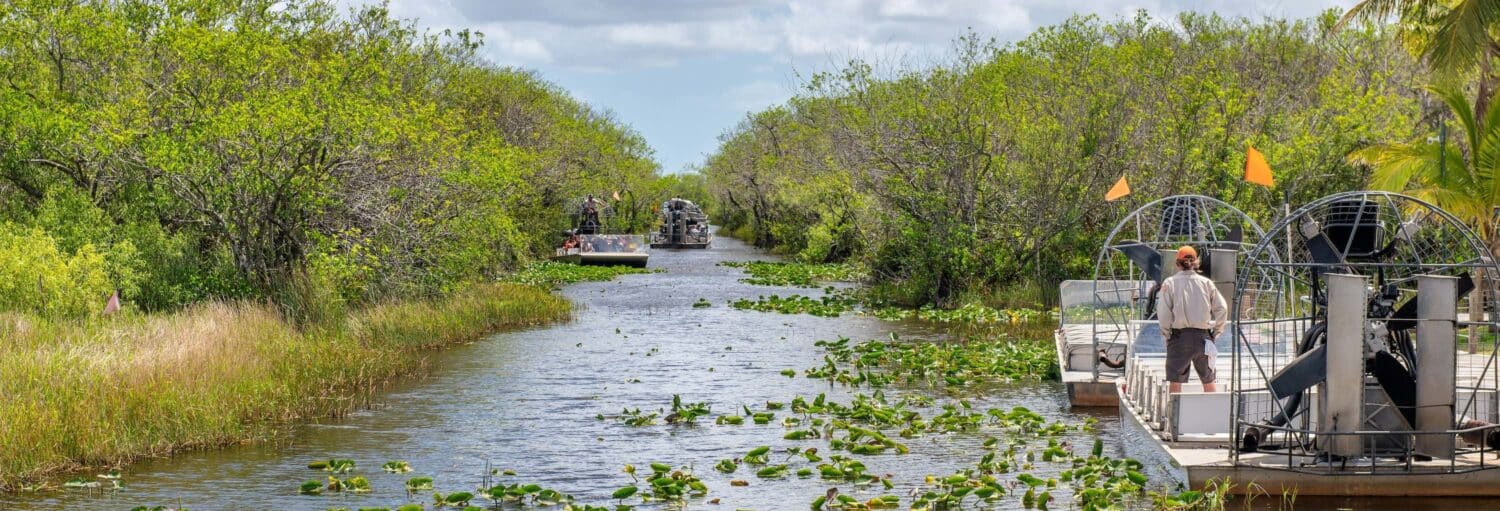 Embarcações navegando por um canal cercado de vegetação densa e águas repletas de plantas aquáticas. a imagem ilustra o post sobre Passeio de airboat saindo de Miami pelos Everglades.