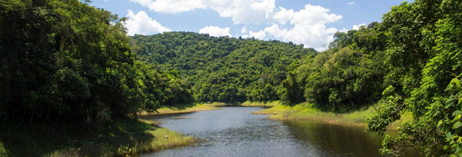Um rio corre entre densas florestas verdes em uma Trilha pela Serra da Cantareira sob um céu parcialmente nublado.