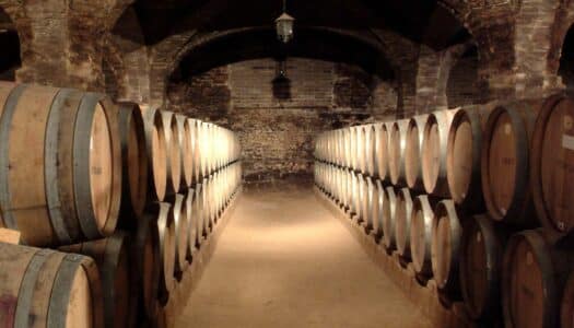 Visita às adegas de Santa Rita: Conheça vinhos premiados!