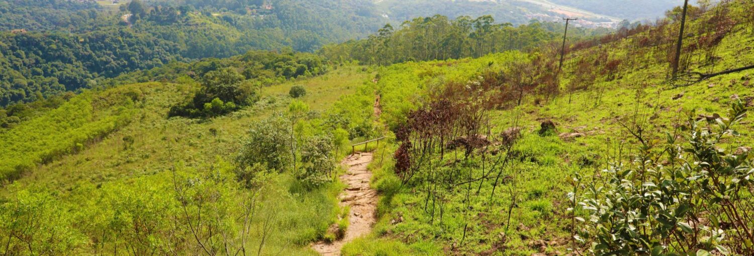 Um caminho de terra passa por uma paisagem verde e montanhosa com árvores espalhadas e áreas florestais distantes sob um céu claro. A imagem ilustra o post sobre Trilha até o Pico do Jaraguá em SP.