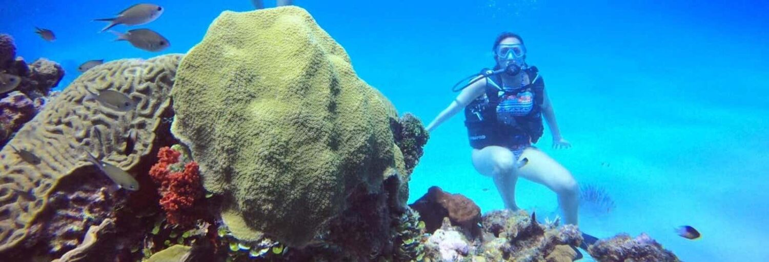Uma pessoa com equipamento de mergulho nada perto de um recife de coral com vários corais e pequenos peixes em uma água azul clara. Imagem para ilustrar post sobre o batismo de mergulho em Cartagena.
