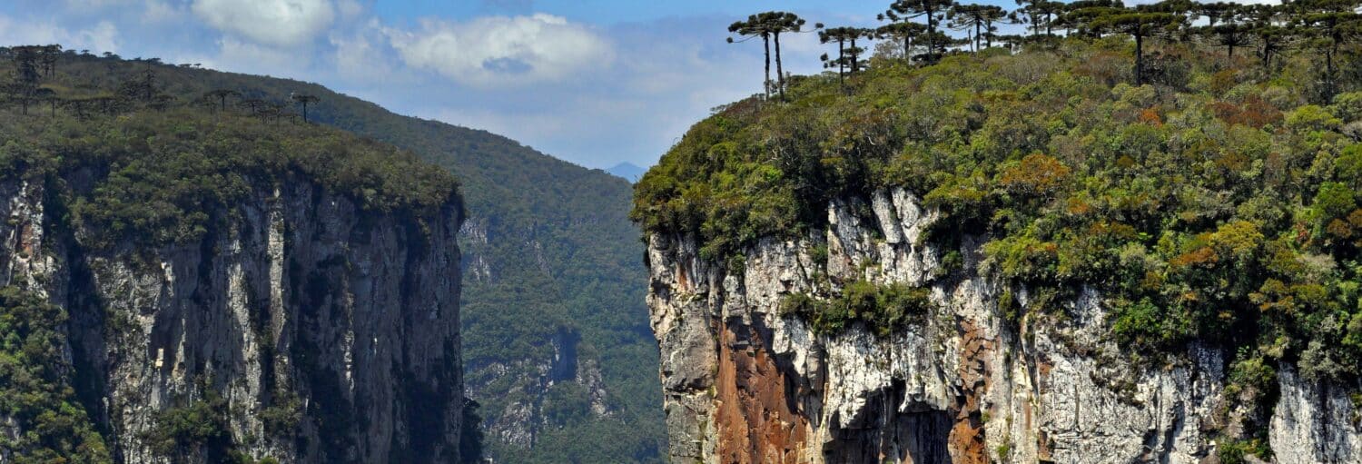 Uma vista de dois penhascos íngremes e arborizados com faces de rocha e árvores altas no topo, sob um céu parcialmente nublado. - Excursão ao cânion do Itaimbezinho com piquenique