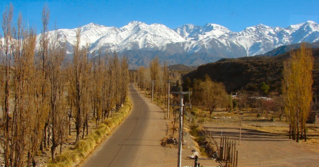 Uma estrada pavimentada ladeada por árvores altas e sem folhas leva a montanhas cobertas de neve sob um céu azul claro. Imagem para ilustrar post sobre onde ficar em Mendoza.