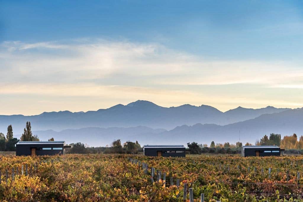 Três cabanas modernas da Posada Mawida ficam em um vinhedo com montanhas e um céu azul ao fundo.