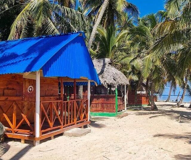 Pequenas cabanas de madeira no Cabañas frente al mar Isla de Guna Yala Aroma com telhados azuis e de palha ficam em um terreno arenoso entre palmeiras perto de uma praia sob um céu claro.