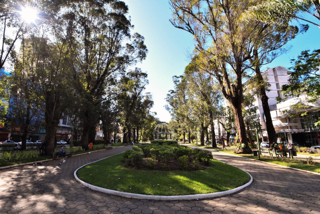 Uma praça arborizada em Nova Friburgo, com um jardim no centro e árvores e prédios ao redor sob um céu azul e sem nuvens.