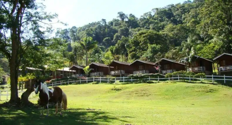 Cabanas de madeira da Pousada da Cachoeira e pasto com cavalos em cenário de floresta exuberante. É uma das opções de onde ficar em Monte Alegre do Sul, São Paulo.
