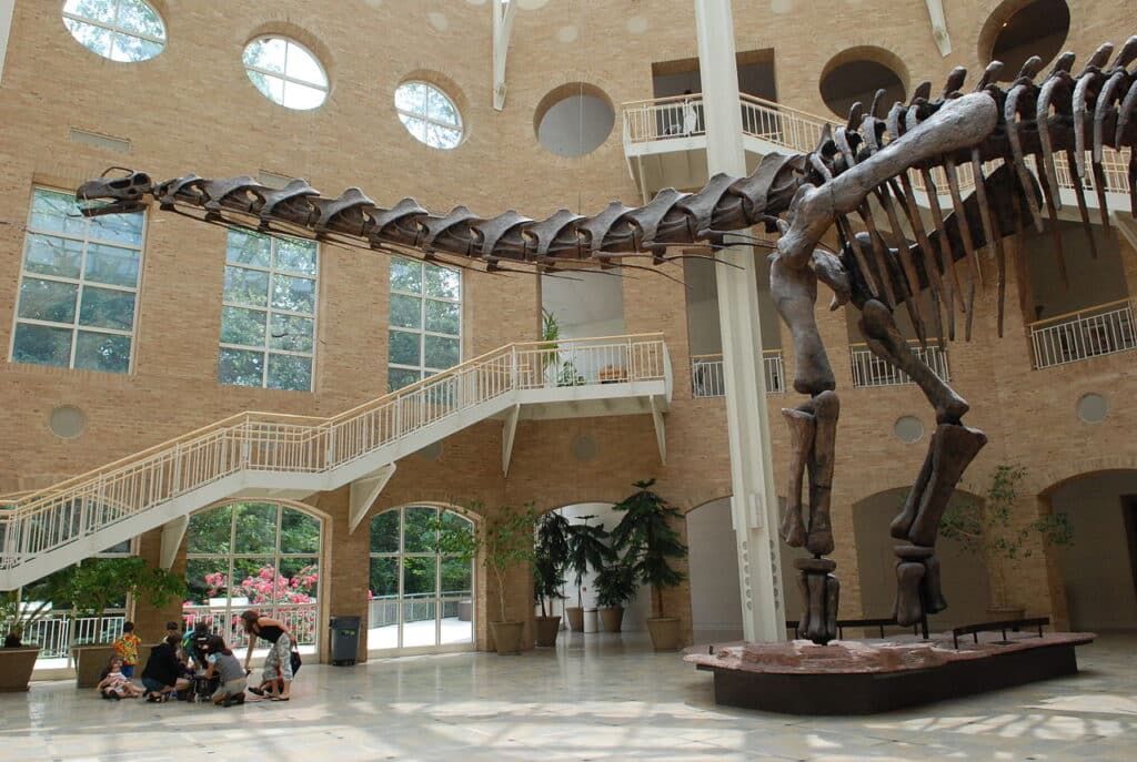 Esqueleto de dinossauro em exibição no Fernbank Museum of Natural History, em Atlanta.