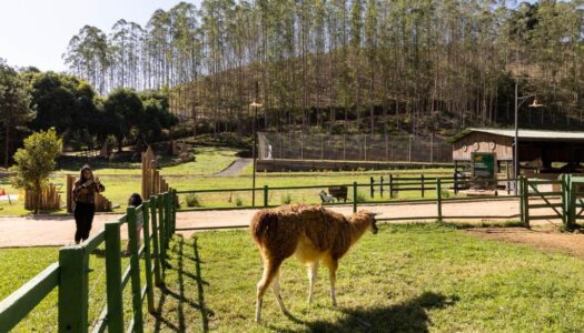 Melhores hotéis fazenda no Brasil: Os 17 mais apaixonantes