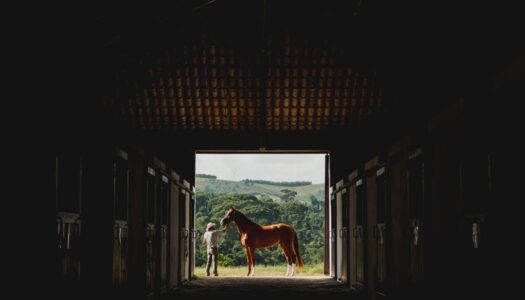 Hotéis fazenda perto de São Paulo: Os 13 mais relaxantes!