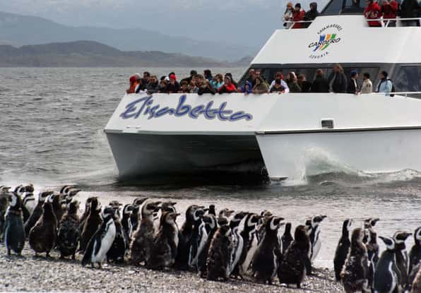 Catamarã Elisabetta navegando com turistas e colônia de pinguins-de-magalhães na costa do Ushuaia