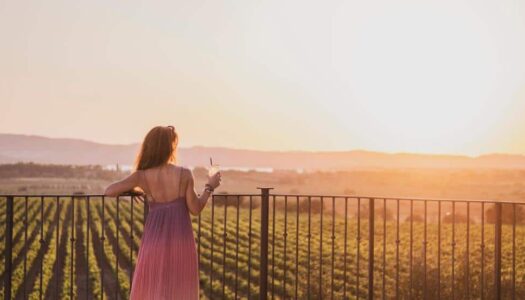 Hotéis em Vinícolas na França incríveis para ir em 2026