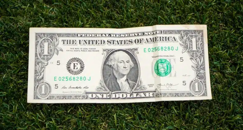 Cédula de um dólar americano com rosto de George Washington sobre grama verde